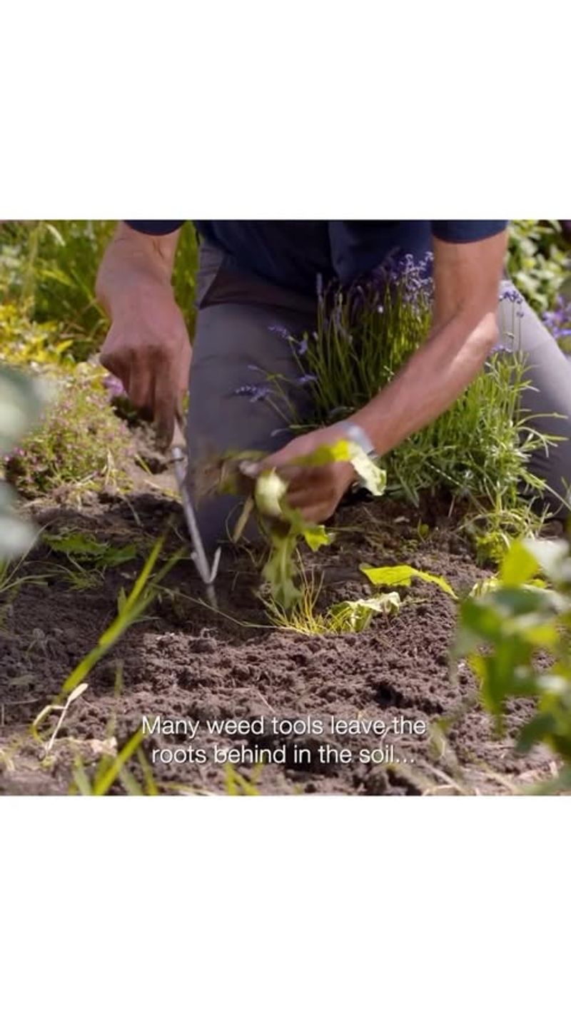 Hand Weeding