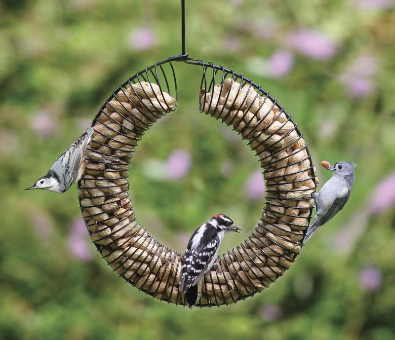 Hang Peanut Feeders