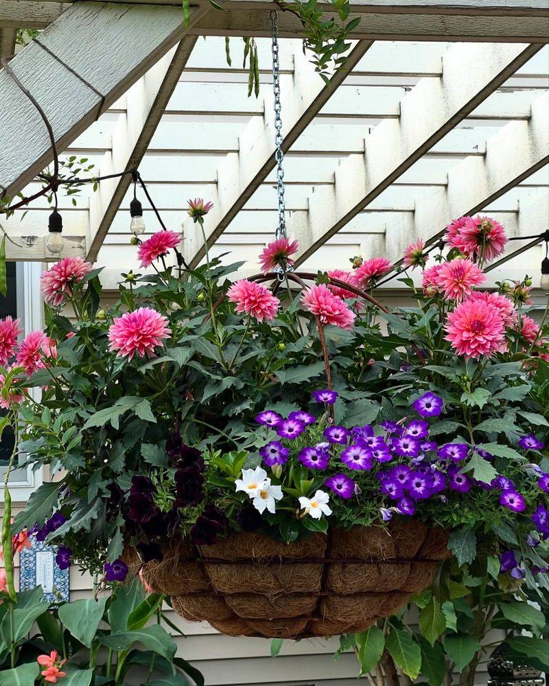 Hanging Flower Baskets