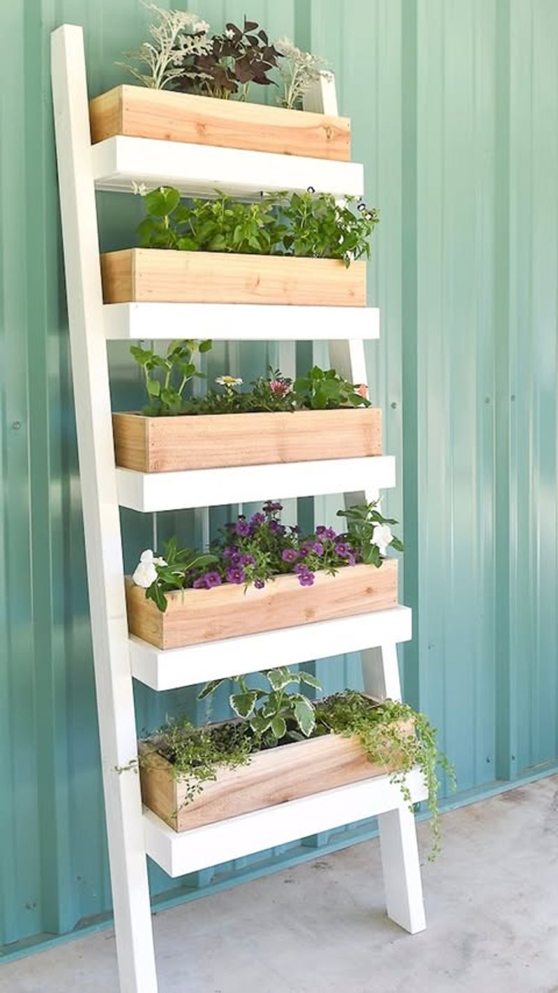 Hanging Ladder Plant Stand