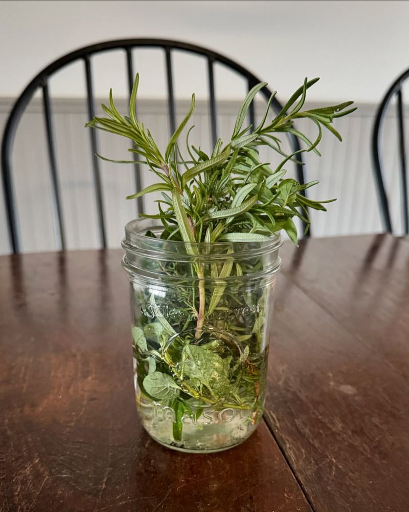 Herb Planters