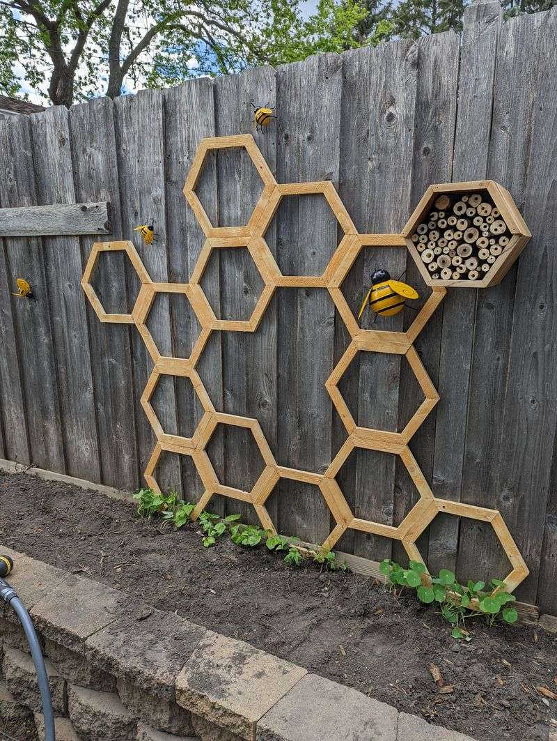 Hexagonal Trellis