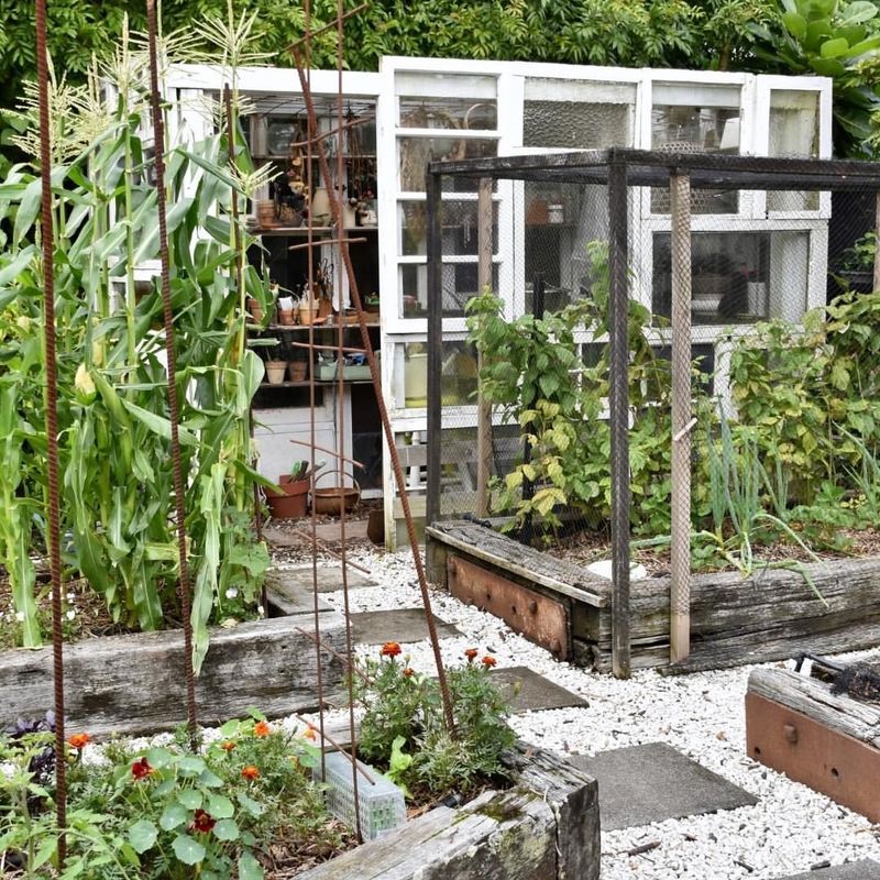 Hidden Vegetable Garden