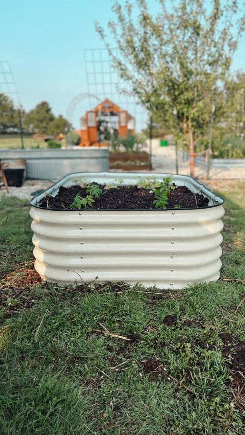 Hügelkultur Beds