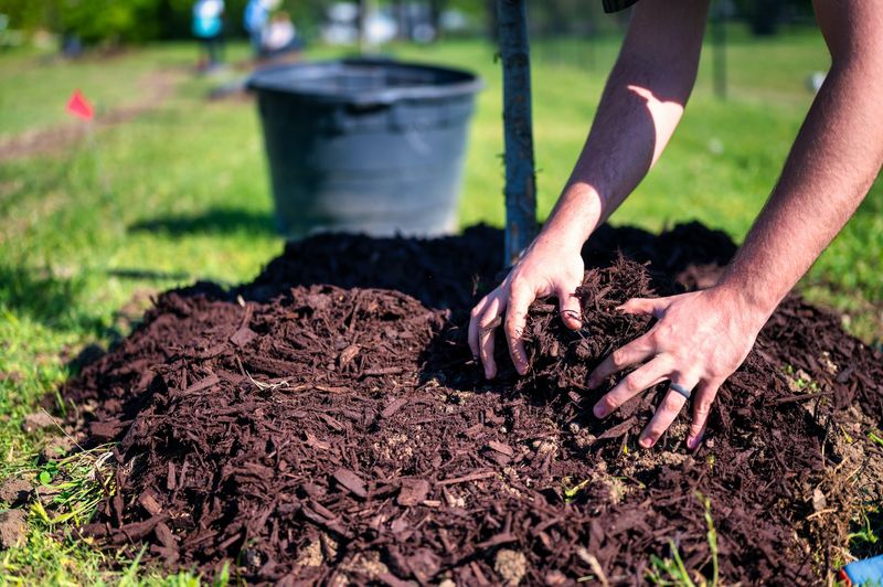 Ignoring Mulch Benefits