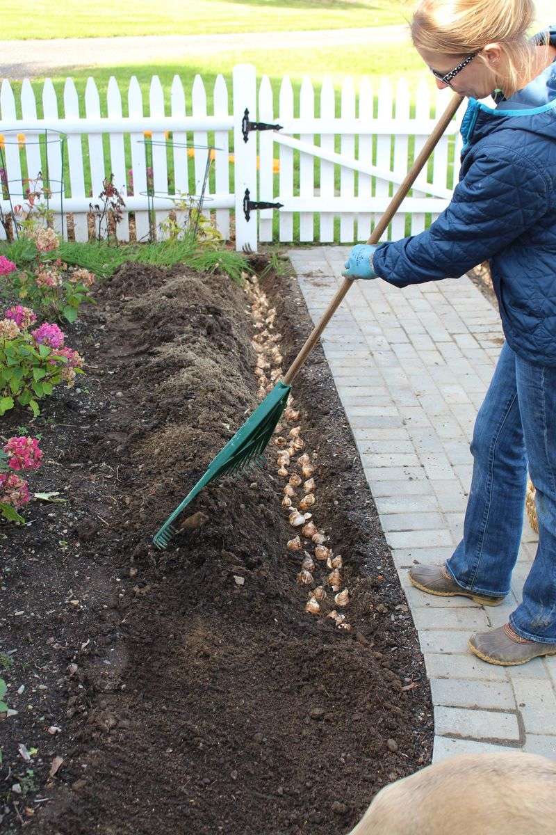 Ignoring Soil Amendments