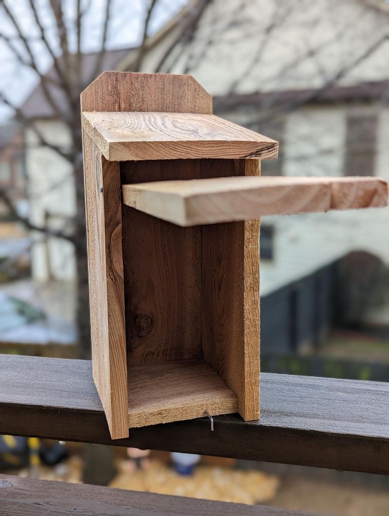 Install Nesting Boxes