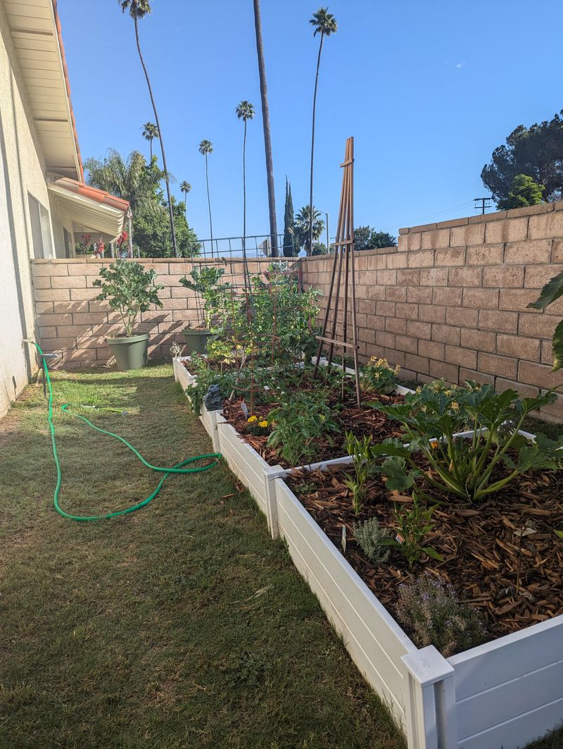 Install Raised Beds