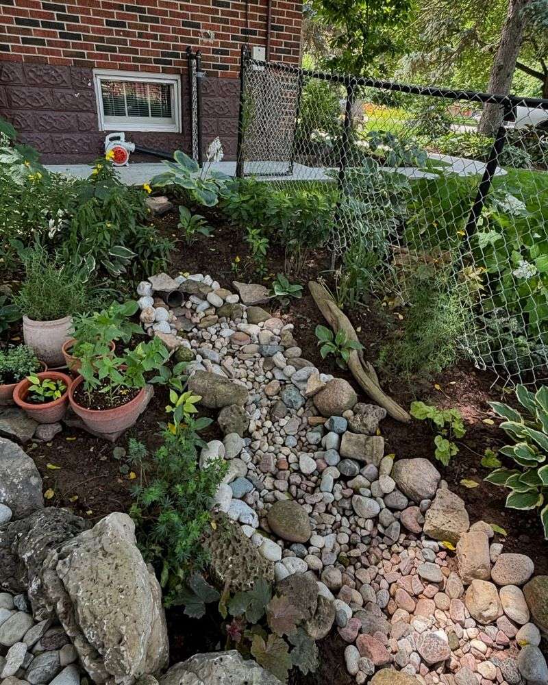 Install a Rain Garden