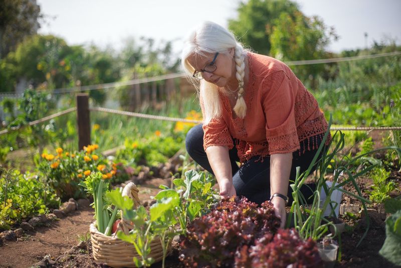 Intensive Planting