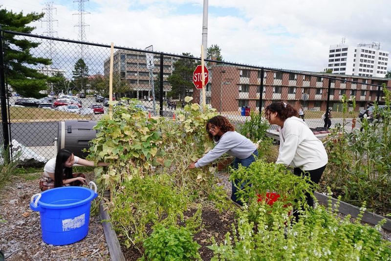 Join a Gardening Club