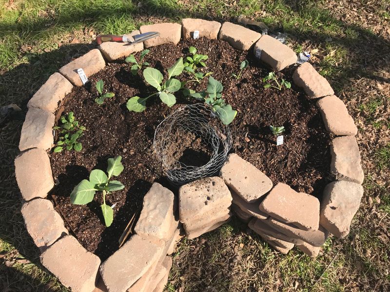 Keyhole Gardens