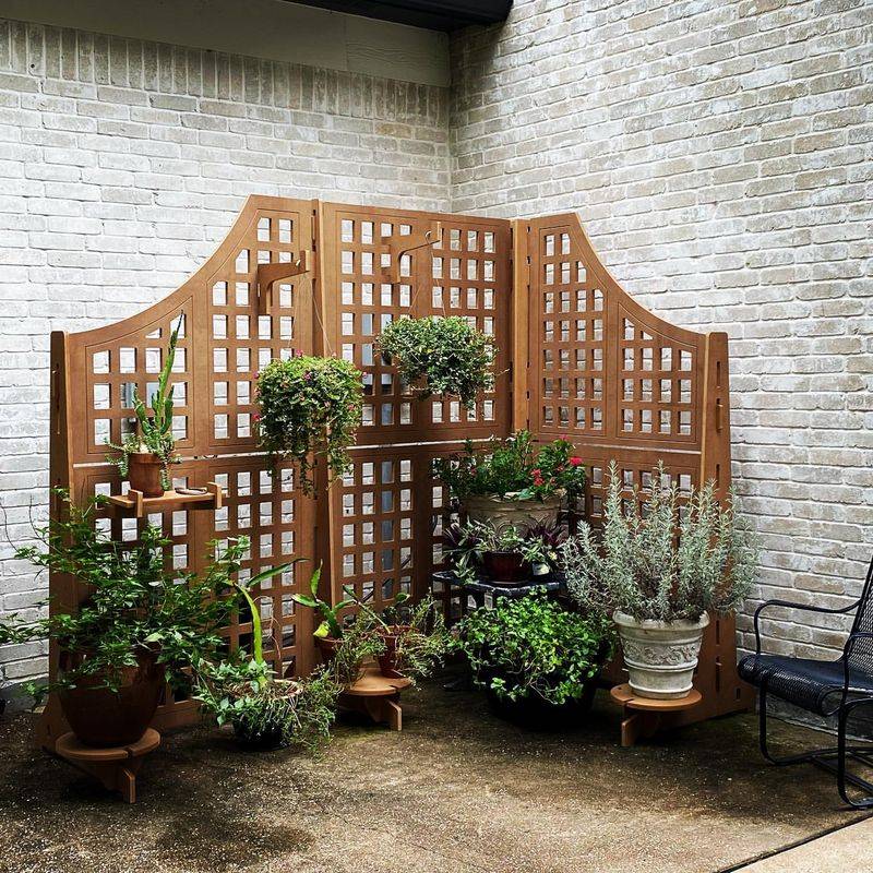 Lattice Panel Trellis