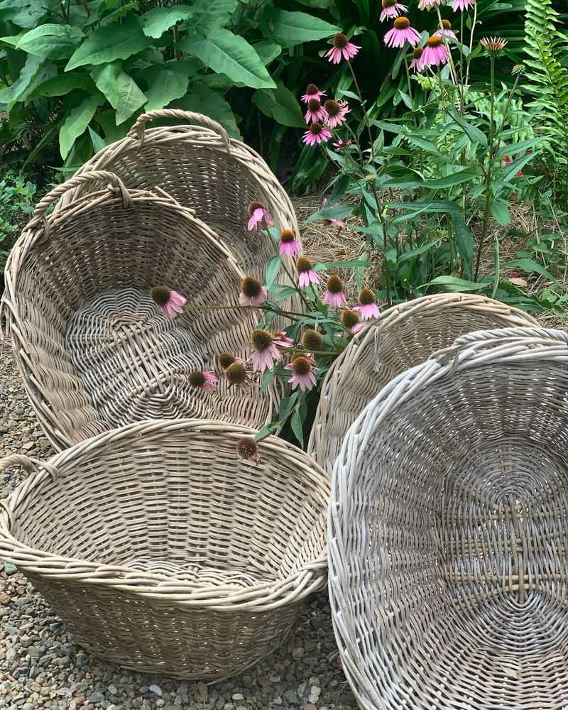 Laundry Baskets