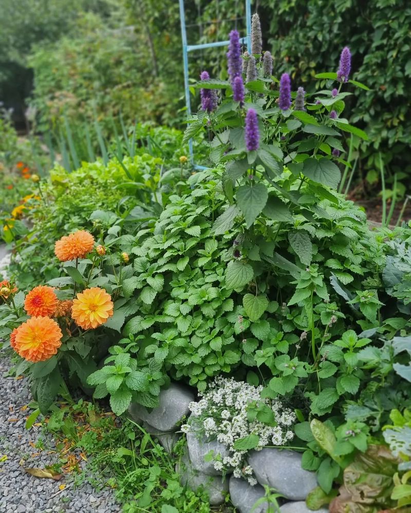 Layered Planting Techniques