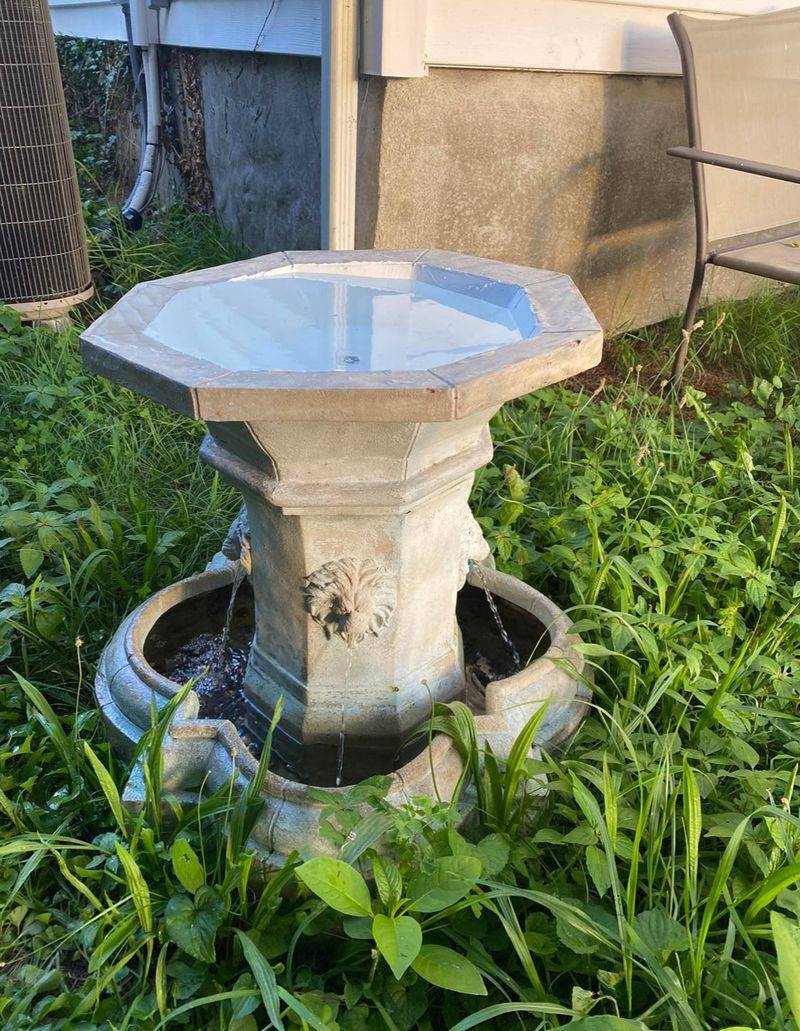 Lemon-Infused Birdbath