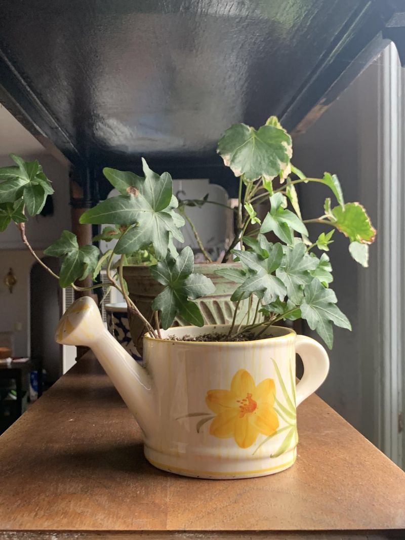 Lemon Watering Can