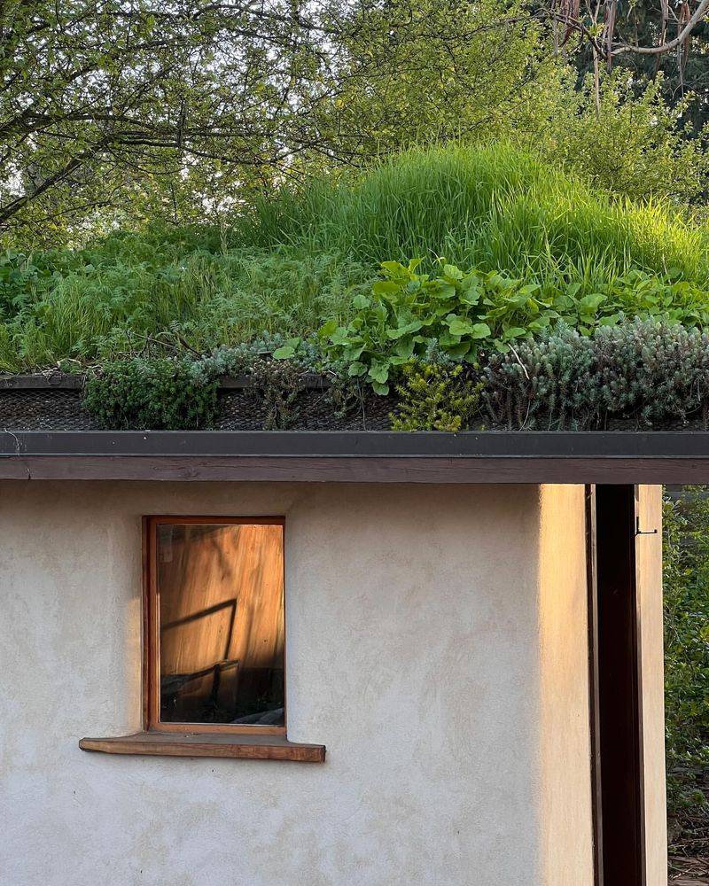 Living Roof Shed