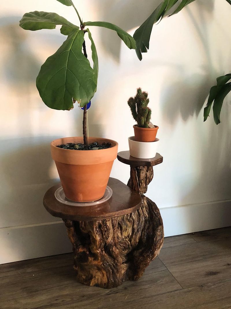 Log Slice Plant Stand