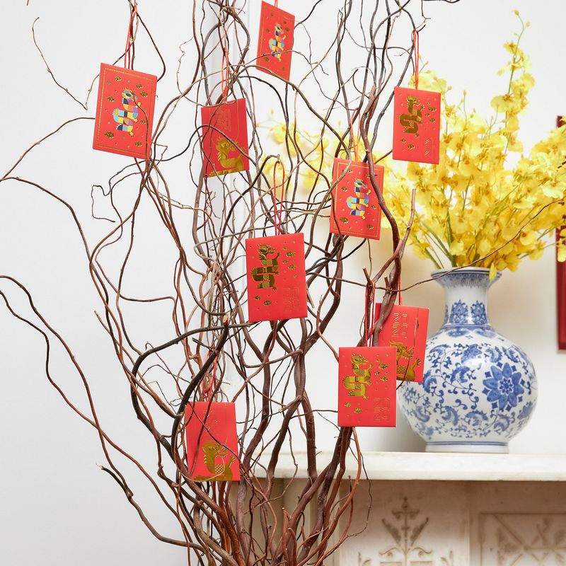 Lucky Red Envelopes Plant