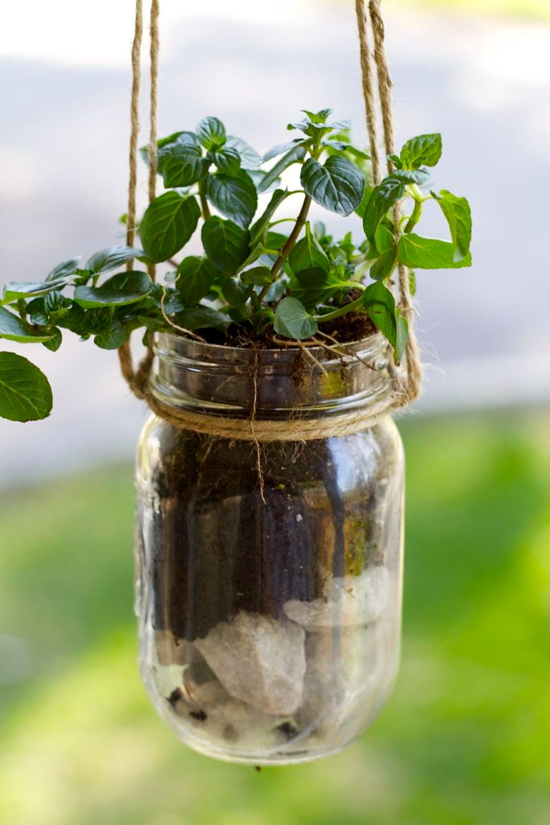 Mason Jar Herb Garden