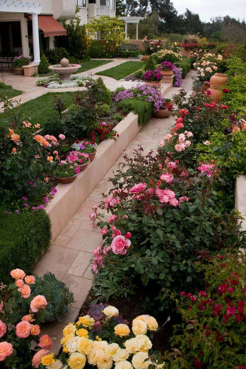 Meditative Labyrinth Roses