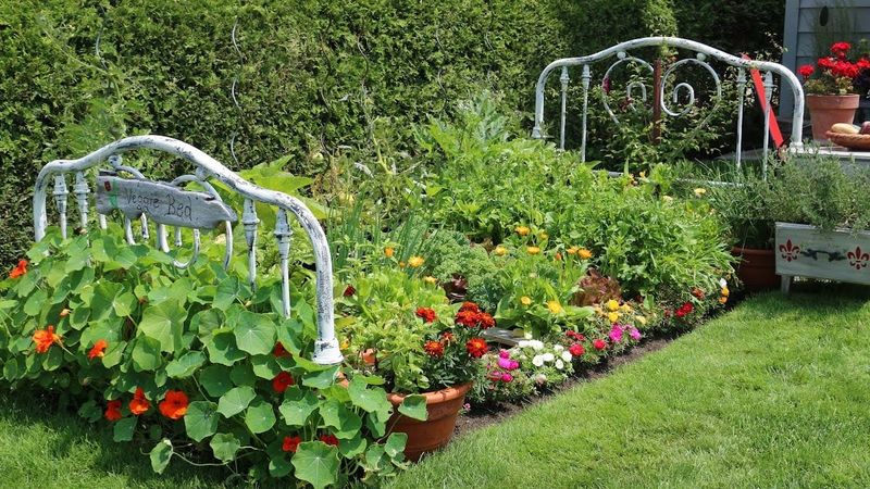 Metal Bed Frame Garden