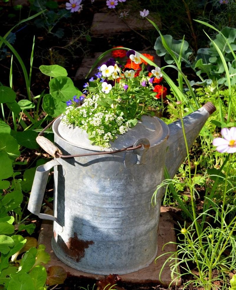 Metal Bucket Water Garden