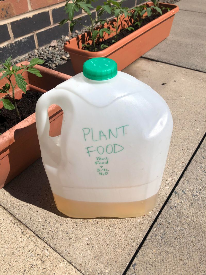 Milk Jug Watering Can