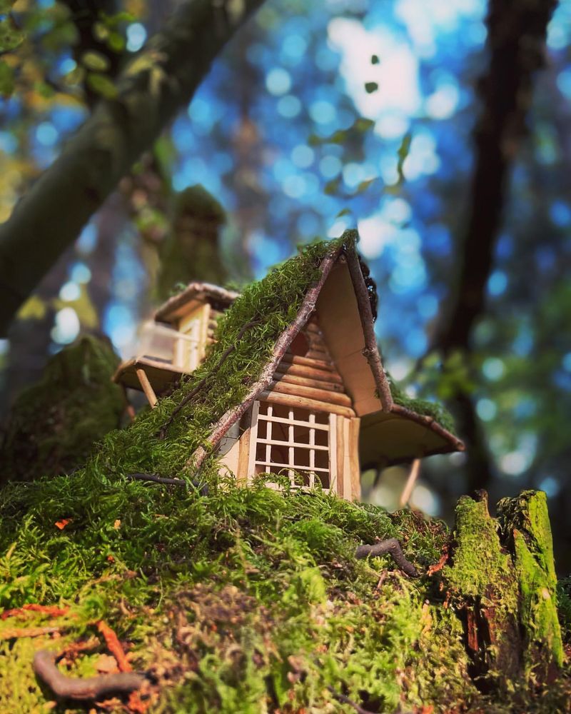 Miniature Green Roof