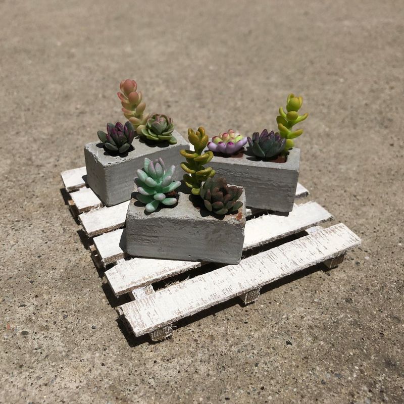 Miniature Succulent Planters