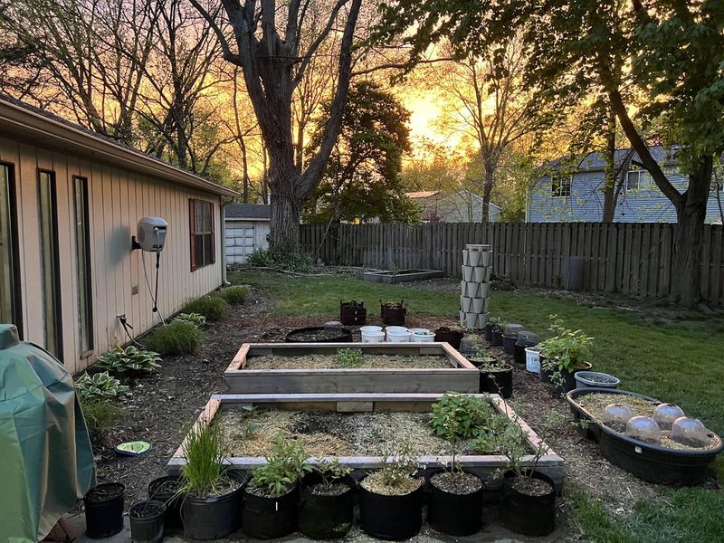 Miniature Vegetable Garden