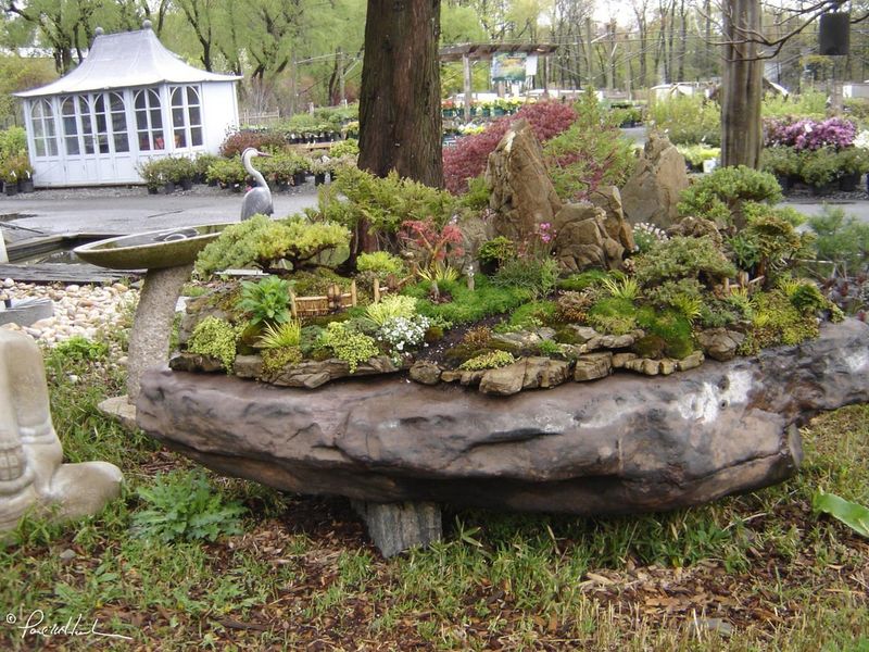 Miniature Zen Garden