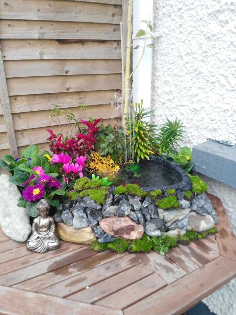 Miniature Zen Rock Garden