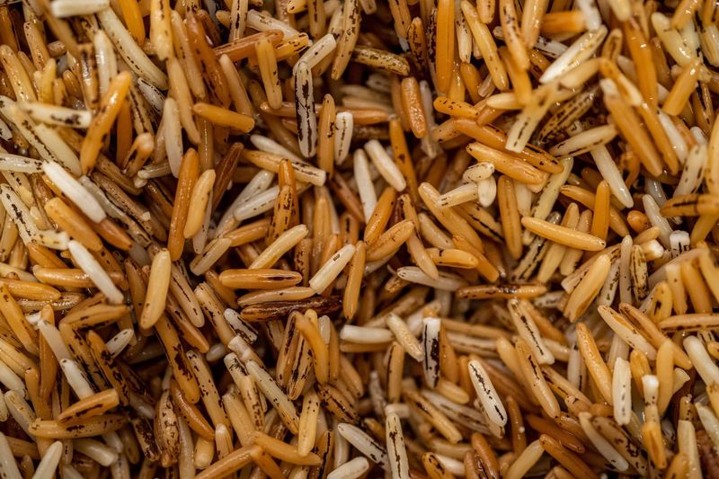 Minnesota: Wild Rice