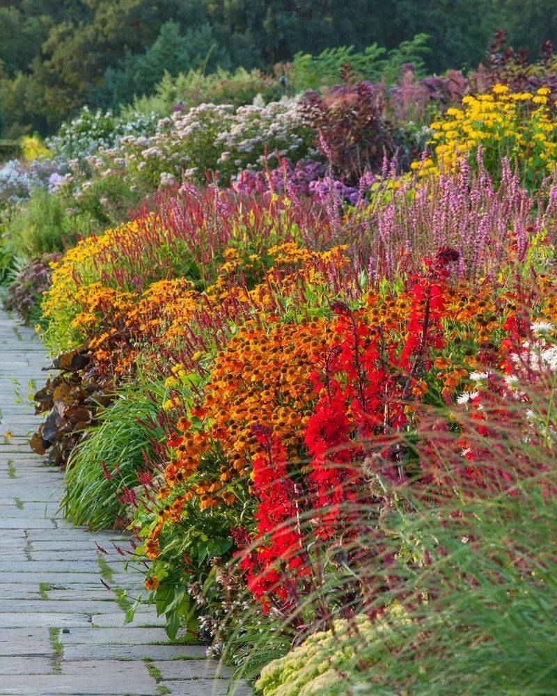 Mixed Perennial Borders