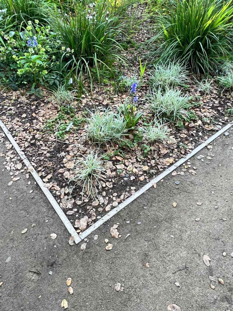 Modern Metal Edging