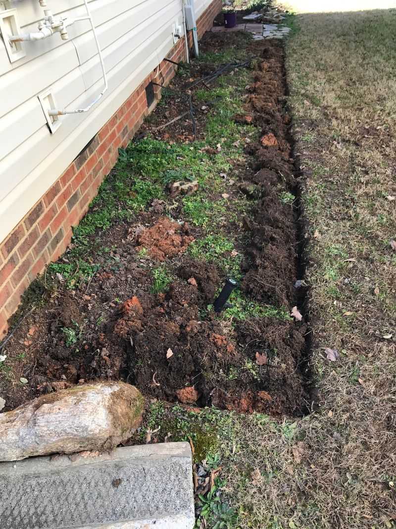 Moist Garden Soil