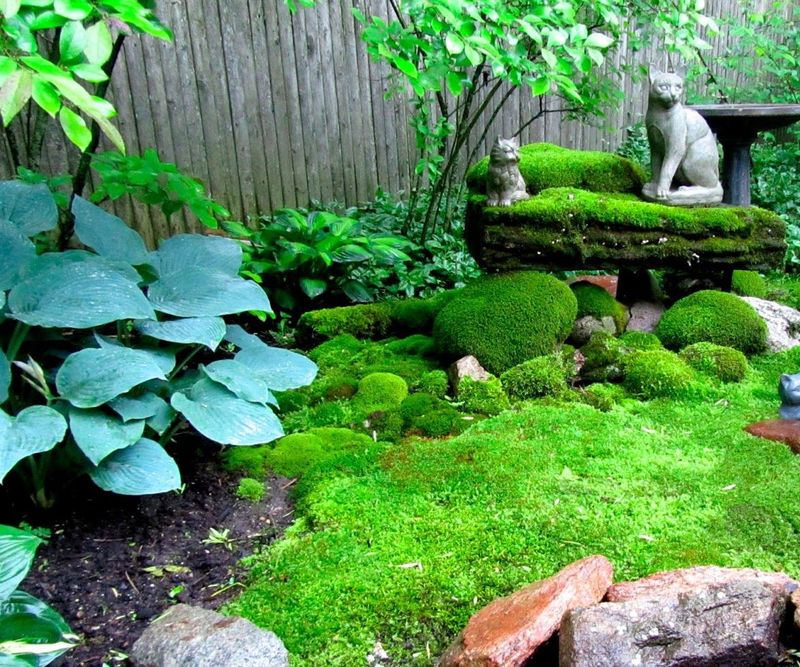 Moss Garden