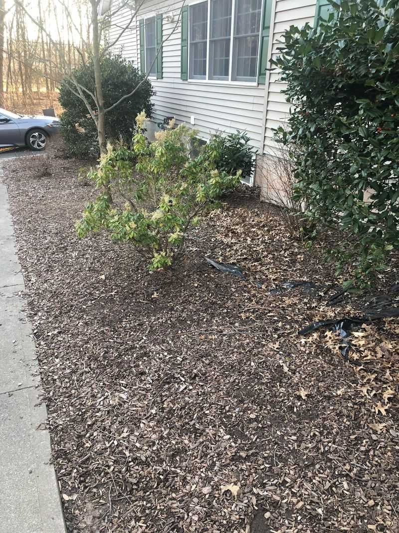 Mulch Mastery