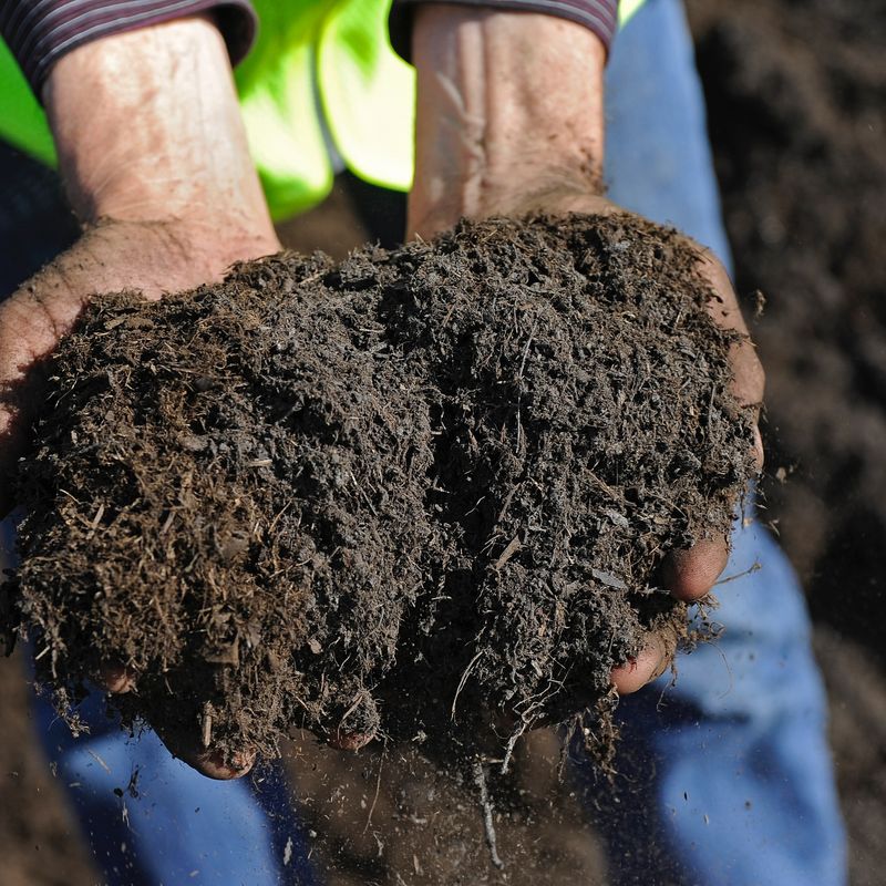 Mulch to Retain Moisture