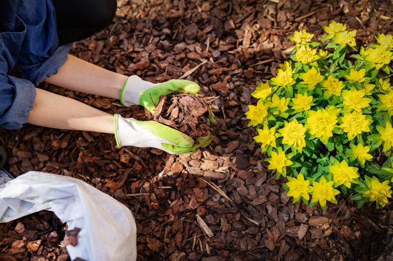 Mulch with Homemade Materials