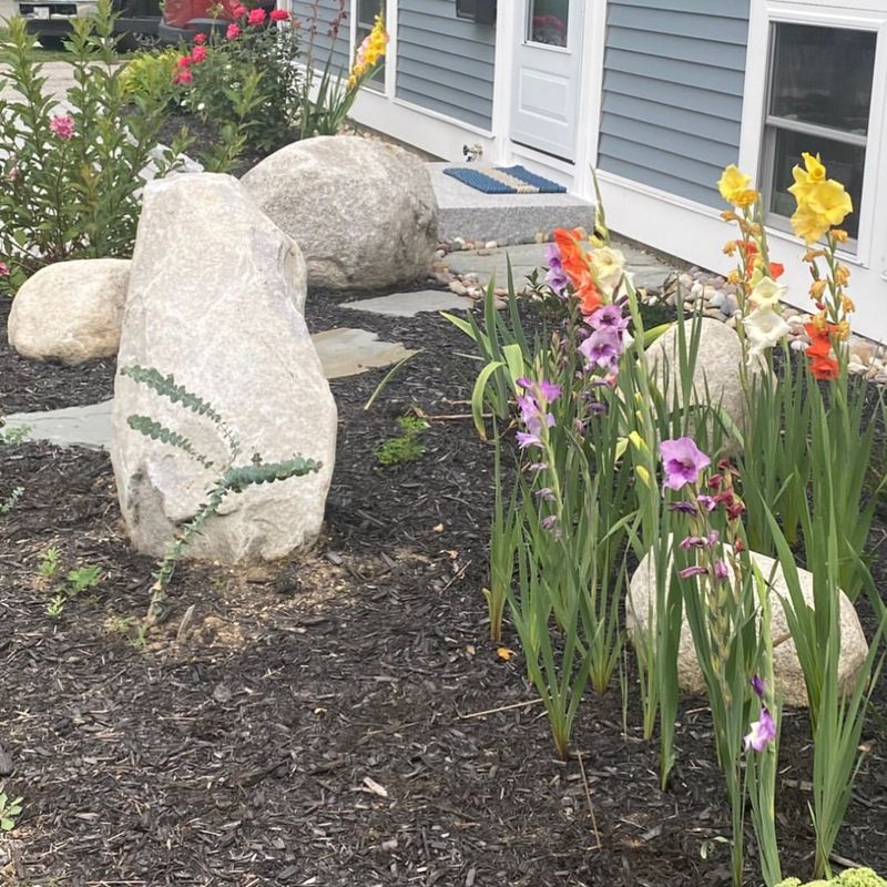 Mulched Flower Beds