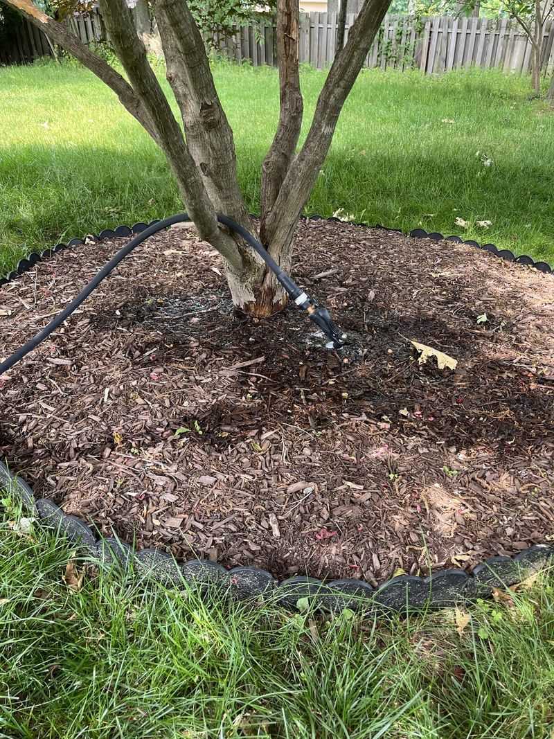 Mulching Incorrectly