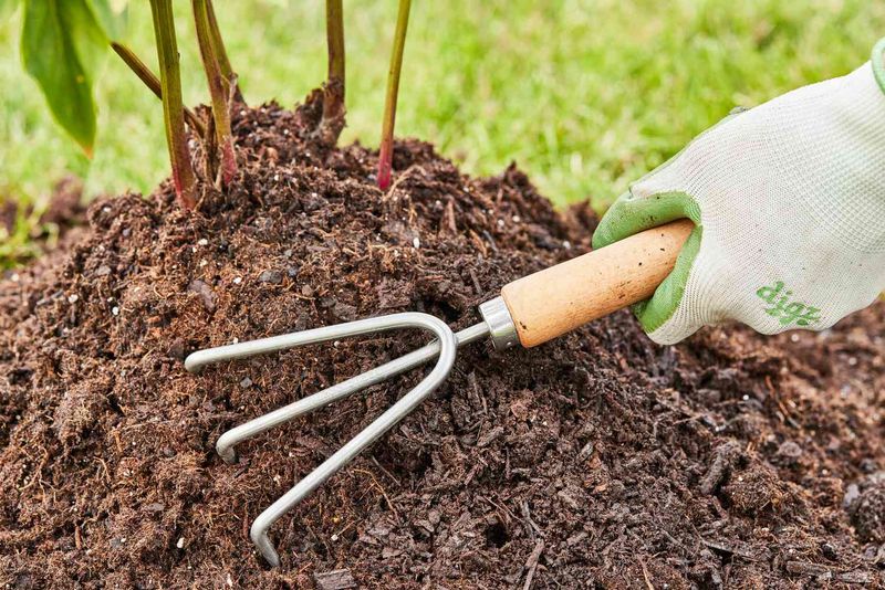 Mushroom Compost