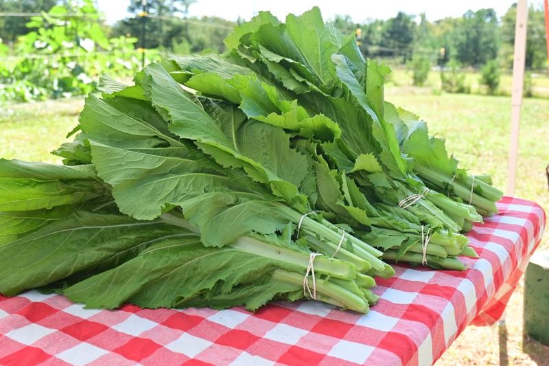 Mustard Greens