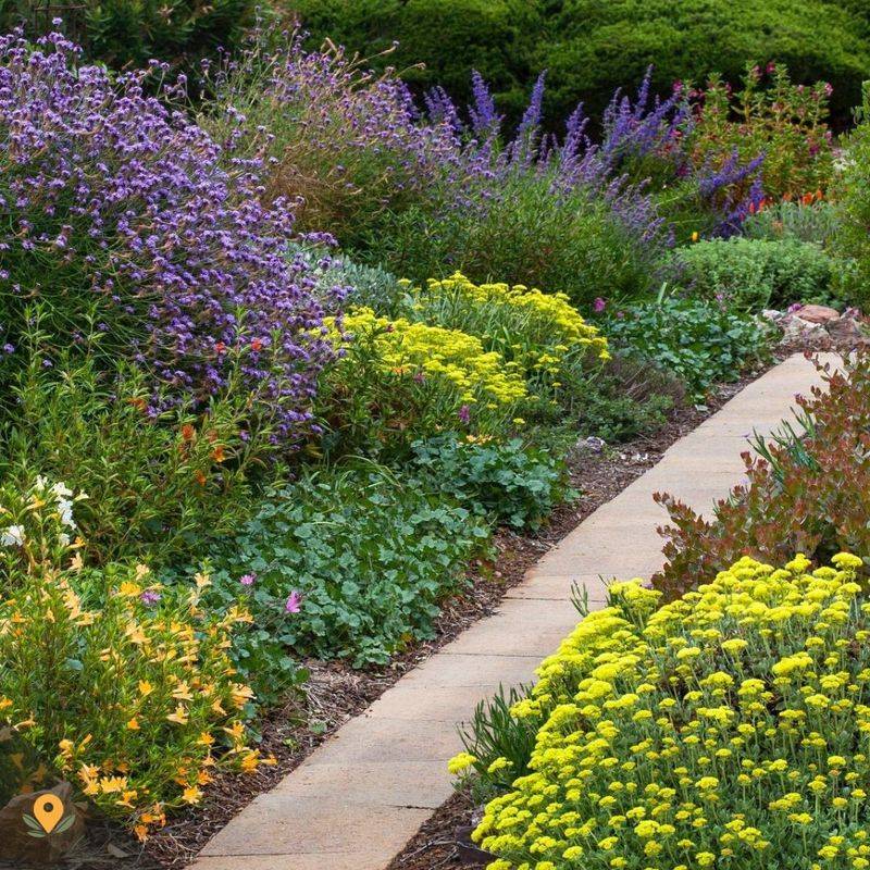 Native Plant Garden