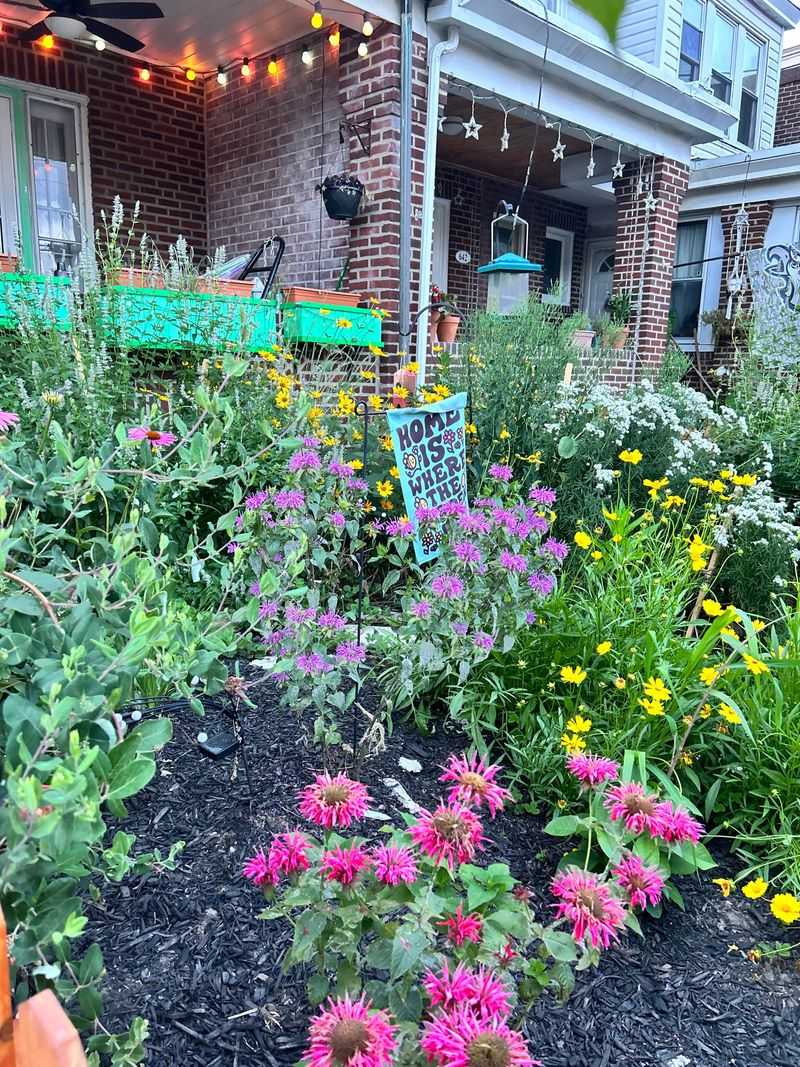 Native Plant Gardens