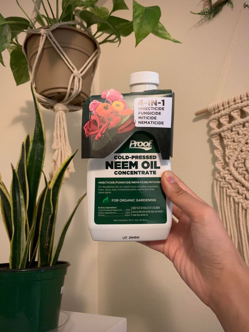 Neem Oil for Natural Defense