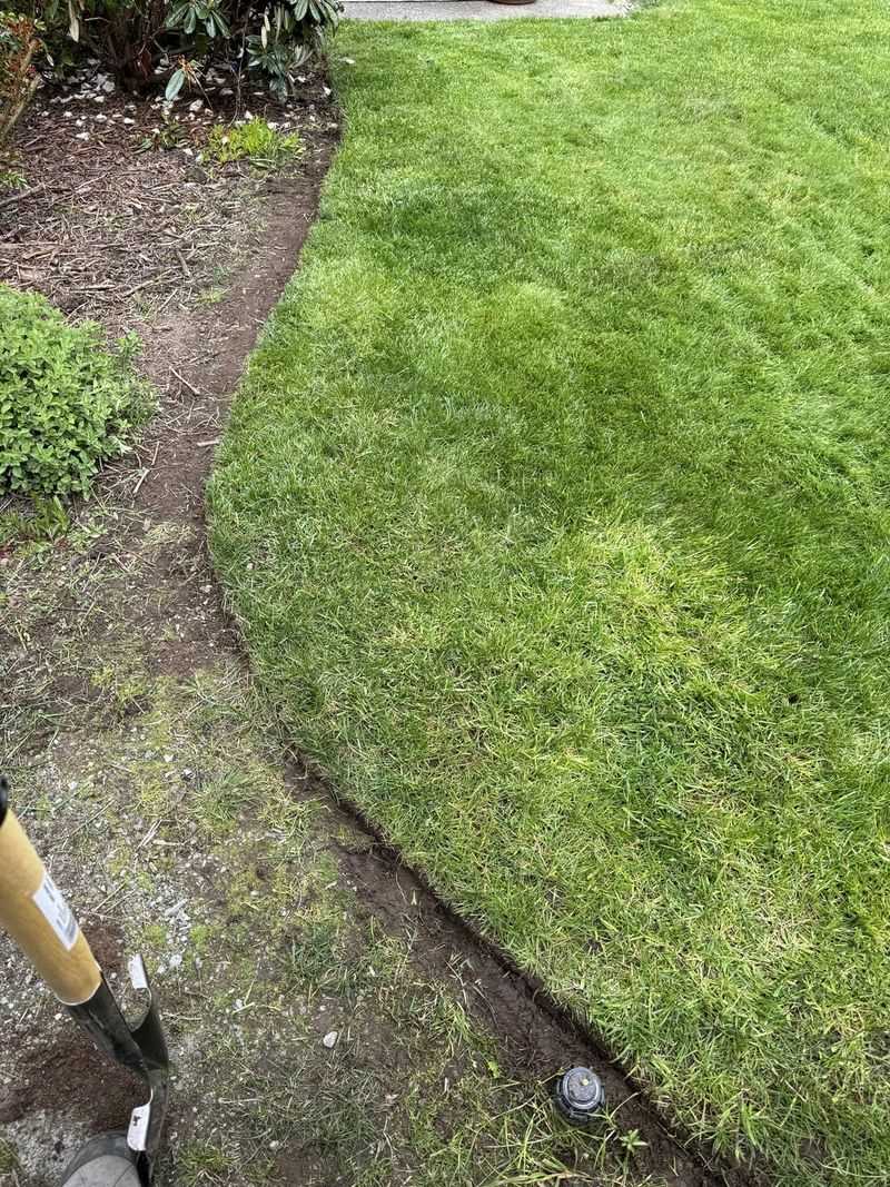 Not Edging Alongside Mowing